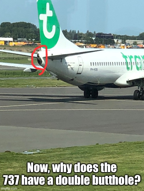 Now, why does the 737 have a double butthole? | made w/ Imgflip meme maker