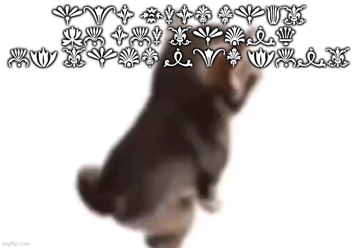 Side el gatito | hey guys what do you think of this new font | image tagged in side el gatito | made w/ Imgflip meme maker