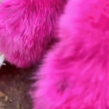 Pinkie story 1