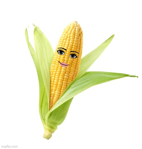 Corn | image tagged in corn | made w/ Imgflip meme maker