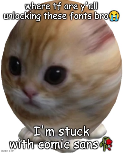 egg gatito | where tf are y'all unlocking these fonts bro😭; I'm stuck with comic sans🥀 | image tagged in egg gatito | made w/ Imgflip meme maker