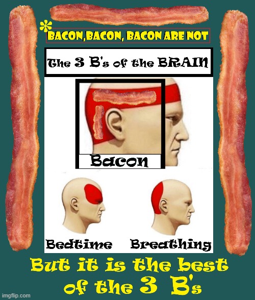 "Bacon on the Brain?"  Just a Third. | image tagged in vince vance,bacon,i love bacon,memes,bedtime,breathing | made w/ Imgflip meme maker