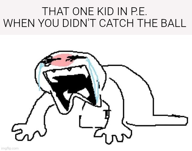 Like bro calm down it's not that deep | THAT ONE KID IN P.E. WHEN YOU DIDN'T CATCH THE BALL | image tagged in memes,pe | made w/ Imgflip meme maker