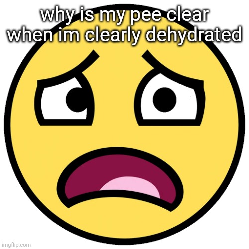 what the fuck | why is my pee clear when im clearly dehydrated | image tagged in what the fuck | made w/ Imgflip meme maker