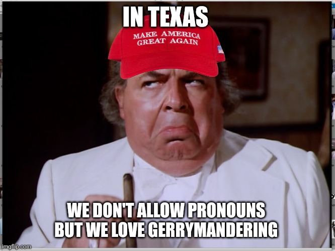 Boss Hogg | IN TEXAS WE DON'T ALLOW PRONOUNS 
BUT WE LOVE GERRYMANDERING | image tagged in boss hogg | made w/ Imgflip meme maker