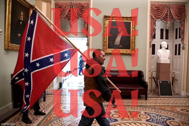 I posted this as a meme comment, and someone said it was obsessing over race | USA!
USA!
USA! | image tagged in jan 6 2021 confederate flag | made w/ Imgflip meme maker