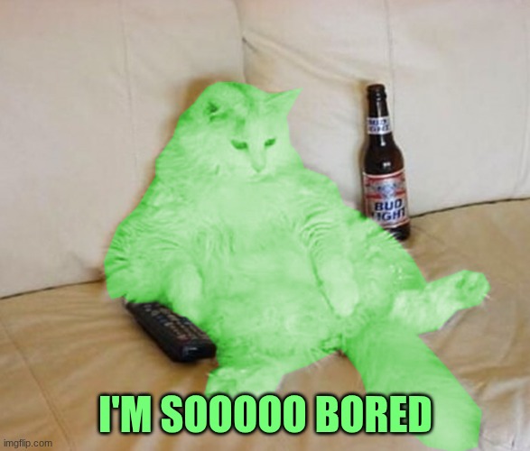 RayCat Chillin' | I'M SOOOOO BORED | image tagged in raycat chillin' | made w/ Imgflip meme maker