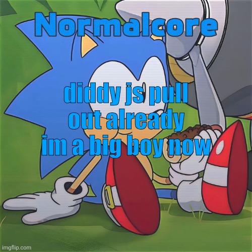 Random Sonic Template (REMAKE) | diddy js pull out already im a big boy now | image tagged in random sonic template remake | made w/ Imgflip meme maker