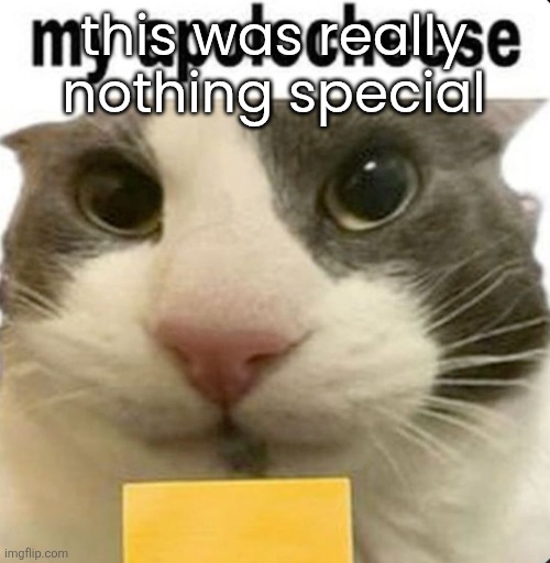 my apolocheese | this was really nothing special | image tagged in my apolocheese | made w/ Imgflip meme maker
