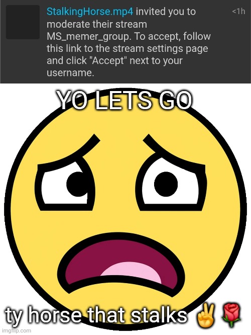 YO LETS GO; ty horse that stalks ✌️🌹 | image tagged in what the fuck | made w/ Imgflip meme maker