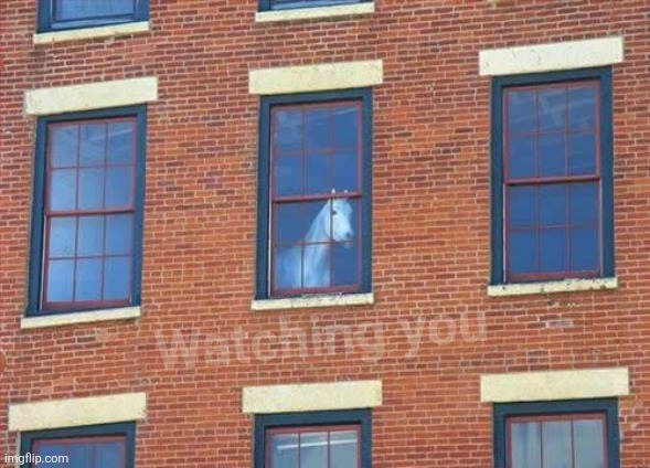 window horse | Watching you | image tagged in window horse | made w/ Imgflip meme maker