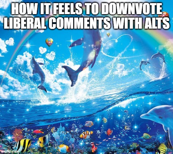 Realistic | HOW IT FEELS TO DOWNVOTE LIBERAL COMMENTS WITH ALTS | image tagged in how it feels to x | made w/ Imgflip meme maker