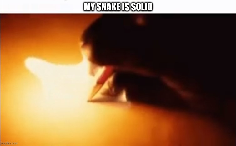 Writing Fire | MY SNAKE IS SOLID | image tagged in writing fire | made w/ Imgflip meme maker