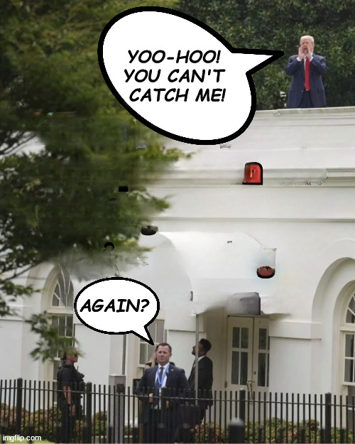YOO-HOO! 
YOU CAN'T 
CATCH ME! AGAIN? | image tagged in trump,baby,infant,toddler,child,white house | made w/ Imgflip meme maker