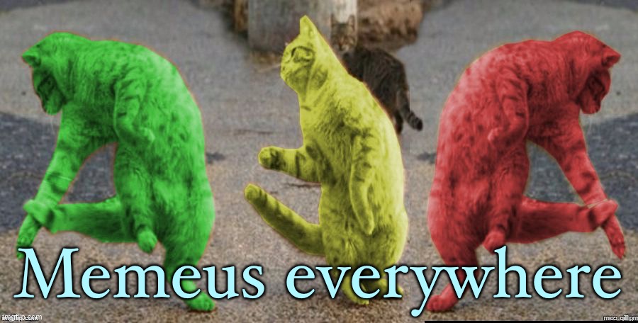 Three Dancing RayCats | Memeus everywhere | image tagged in three dancing raycats | made w/ Imgflip meme maker