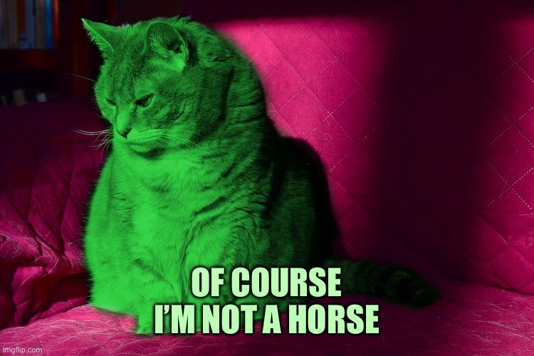 Cantankerous RayCat | OF COURSE
I’M NOT A HORSE | image tagged in cantankerous raycat | made w/ Imgflip meme maker