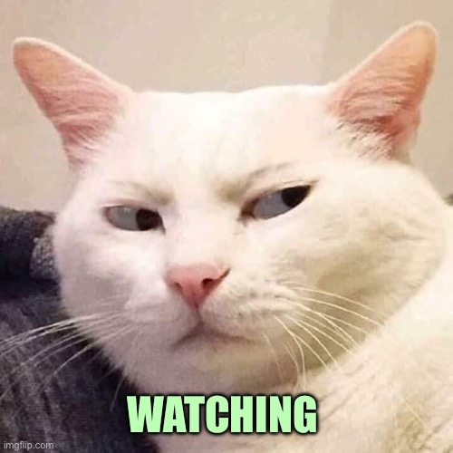 I'm watching you | WATCHING | image tagged in i'm watching you | made w/ Imgflip meme maker