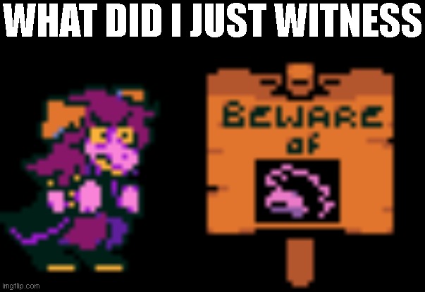 WHAT DID I JUST WITNESS | made w/ Imgflip meme maker