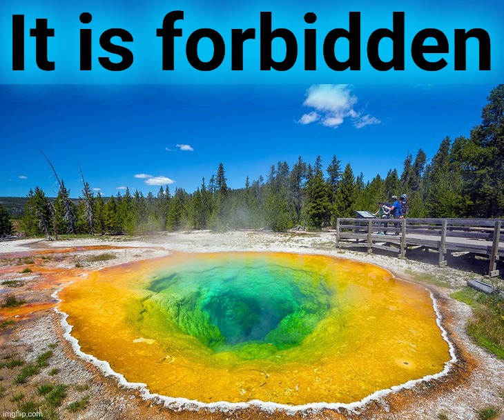 It is forbidden | made w/ Imgflip meme maker