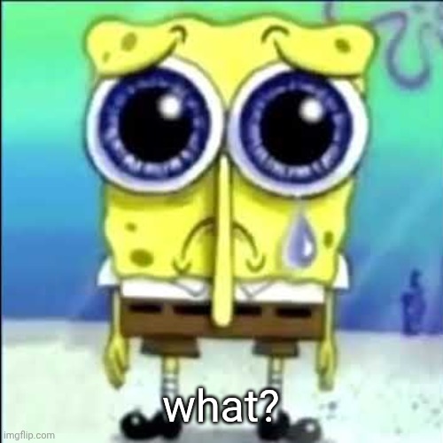 Sad Spongebob | what? | image tagged in sad spongebob | made w/ Imgflip meme maker