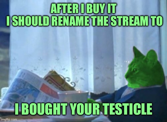 I Should Buy a Boat RayCat | AFTER I BUY IT
 I SHOULD RENAME THE STREAM TO I BOUGHT YOUR TESTICLE | image tagged in i should buy a boat raycat | made w/ Imgflip meme maker