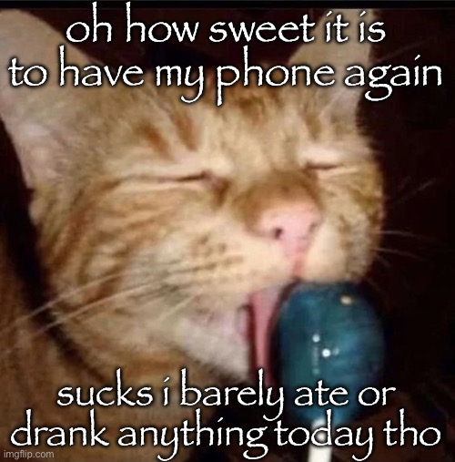 silly goober 2 | oh how sweet it is to have my phone again; sucks i barely ate or drank anything today tho | image tagged in silly goober 2 | made w/ Imgflip meme maker