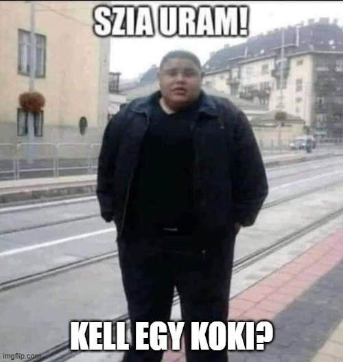 Szia uram (uncropped) | KELL EGY KOKI? | image tagged in szia uram uncropped | made w/ Imgflip meme maker