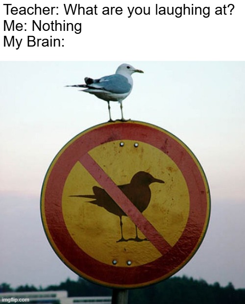Rebellious Bird | Teacher: What are you laughing at?
Me: Nothing
My Brain: | image tagged in bird on no bird sign | made w/ Imgflip meme maker