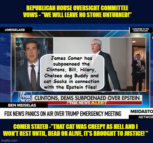 BREAKING :Republicans announce Kingpin in Epstein case was a Left leaning feline! | REPUBLICAN HOUSE OVERSIGHT COMMITTEE VOWS - "WE WILL LEAVE NO STONE UNTURNED!"; James Comer has subpoenaed the Clintons, Bill, Hilary, Chelsea dog Buddy and cat Socks in connection with the Epstein files! COMER STATED -"THAT CAT WAS CREEPY AS HELL AND I WON'T REST UNTIL, DEAD OR ALIVE, IT'S BROUGHT TO JUSTICE! " | image tagged in impeach trump,donald trump memes,government corruption,trump is a moron,clown car republicans | made w/ Imgflip meme maker