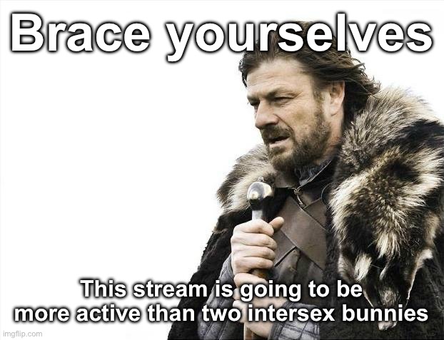 Brace Yourselves X is Coming | Brace yourselves; This stream is going to be more active than two intersex bunnies | image tagged in memes,brace yourselves x is coming | made w/ Imgflip meme maker