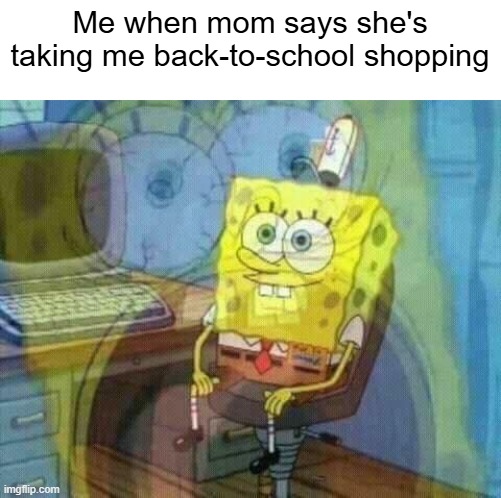 I just completed 8th grade, and this is the point where everybody says to panic | Me when mom says she's taking me back-to-school shopping | image tagged in spongebob panic inside,school | made w/ Imgflip meme maker