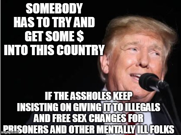 SOMEBODY HAS TO TRY AND GET SOME $ INTO THIS COUNTRY IF THE ASSHOLES KEEP INSISTING ON GIVING IT TO ILLEGALS AND FREE SEX CHANGES FOR PRISON | made w/ Imgflip meme maker