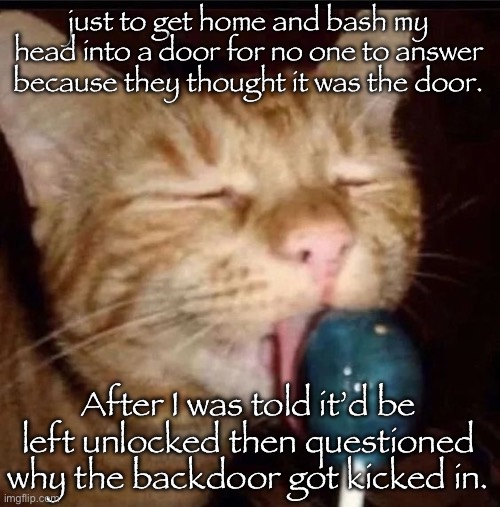 was the dog* my fault. | just to get home and bash my head into a door for no one to answer because they thought it was the door. After I was told it’d be left unlocked then questioned why the backdoor got kicked in. | image tagged in silly goober 2 | made w/ Imgflip meme maker