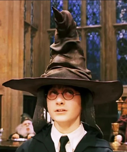 sorting hat Blank Meme Template
