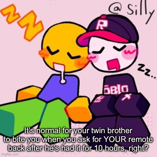 Gayass noob temp | It’s normal for your twin brother to bite you when you ask for YOUR remote back after he’s had it for 10 hours, right? | image tagged in gayass noob temp | made w/ Imgflip meme maker