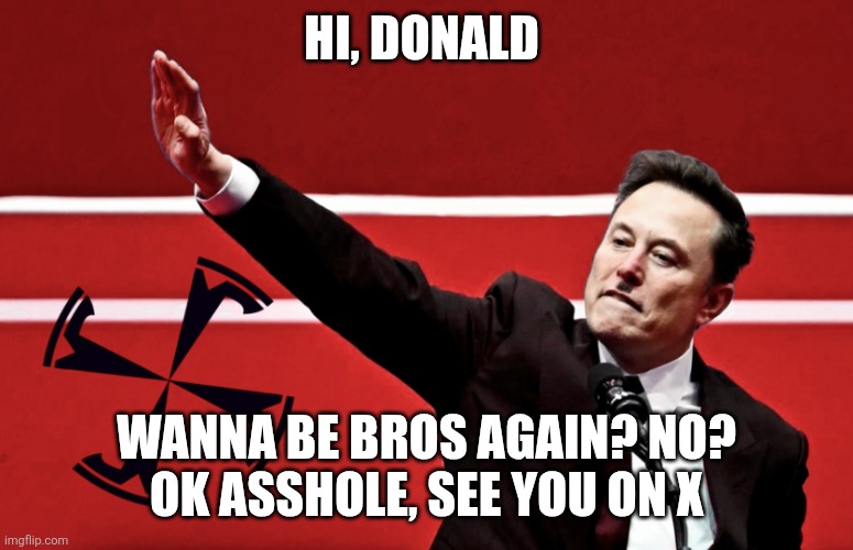 Elon Musk Salute | HI, DONALD WANNA BE BROS AGAIN? NO?
OK ASSHOLE, SEE YOU ON X | image tagged in elon musk salute | made w/ Imgflip meme maker