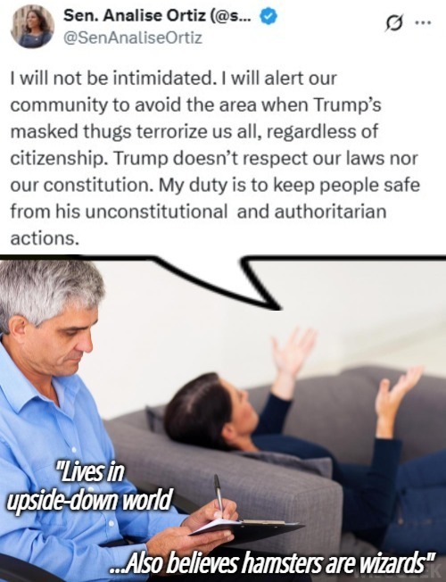 image tagged in therapist notes,funny,illegal immigrants,deportation,american politics | made w/ Imgflip meme maker