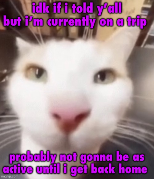 i miss masq | idk if i told y’all but i’m currently on a trip; probably not gonna be as active until i get back home | image tagged in the stare | made w/ Imgflip meme maker