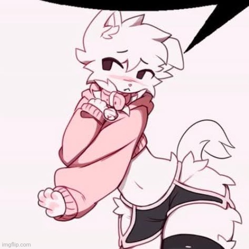 why am I still on this website with these images | image tagged in femboy furry speech bubble | made w/ Imgflip meme maker