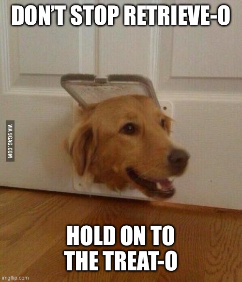 Jim Golden Retriever  | DON’T STOP RETRIEVE-O; HOLD ON TO THE TREAT-O | image tagged in jim golden retriever | made w/ Imgflip meme maker