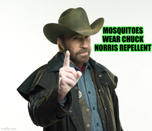 Chuck Norris Finger | MOSQUITOES WEAR CHUCK NORRIS REPELLENT | image tagged in memes,chuck norris finger,chuck norris,mosquitoes,raid | made w/ Imgflip meme maker