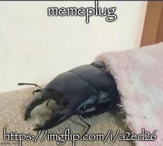 i was told to plug this | memeplug; https://imgflip.com/i/a2ed26 | image tagged in beetle | made w/ Imgflip meme maker