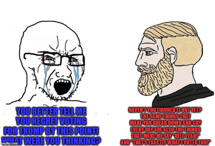 Soyboy Vs Yes Chad | YOU BETTER TELL ME YOU REGRET VOTING FOR TRUMP BY THIS POINT! WHAT WERE YOU THINKING? HAVEN'T YOU FIGURED IT OUT YET? 
THE SAME THINGS THAT  | image tagged in soyboy vs yes chad | made w/ Imgflip meme maker