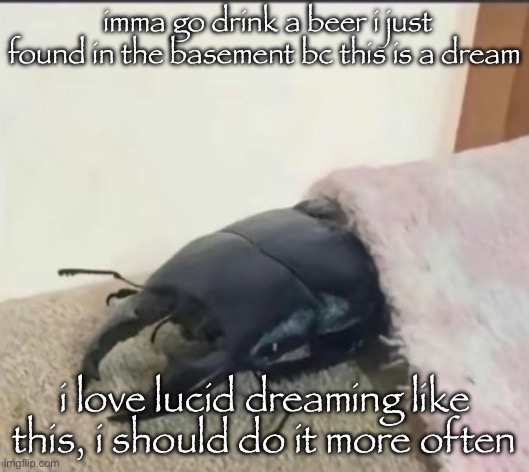 beetle | imma go drink a beer i just found in the basement bc this is a dream; i love lucid dreaming like this, i should do it more often | image tagged in beetle | made w/ Imgflip meme maker