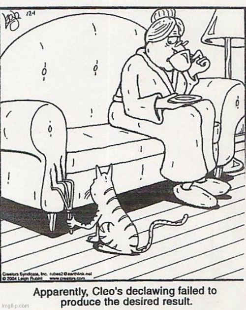 Cleo needs a new hobby… | image tagged in cats,comics,rubes,declawed,adaptation | made w/ Imgflip meme maker