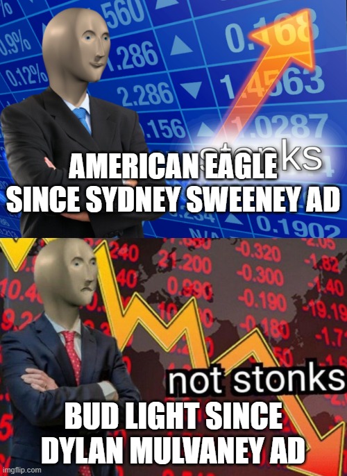 Stonks not stonks | AMERICAN EAGLE SINCE SYDNEY SWEENEY AD BUD LIGHT SINCE DYLAN MULVANEY AD | image tagged in stonks not stonks | made w/ Imgflip meme maker
