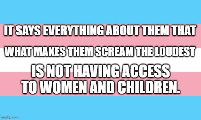 Trans Flag | IT SAYS EVERYTHING ABOUT THEM THAT; WHAT MAKES THEM SCREAM THE LOUDEST; IS NOT HAVING ACCESS TO WOMEN AND CHILDREN. | image tagged in trans flag | made w/ Imgflip meme maker