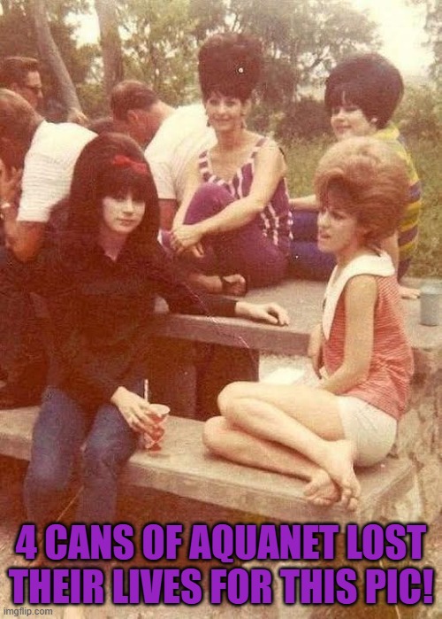 Hairspray... not just a mucical | 4 CANS OF AQUANET LOST THEIR LIVES FOR THIS PIC! | image tagged in hair,1960s,hairspray | made w/ Imgflip meme maker