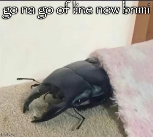 i shdpuldn’t drank 6 pack beer | go na go of line now bnmi | image tagged in beetle | made w/ Imgflip meme maker