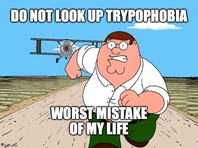 looking up any phobias will make you scared except for pickles and olives | DO NOT LOOK UP TRYPOPHOBIA; WORST MISTAKE OF MY LIFE | image tagged in peter griffin running away,memes,worst mistake of my life,phobia | made w/ Imgflip meme maker